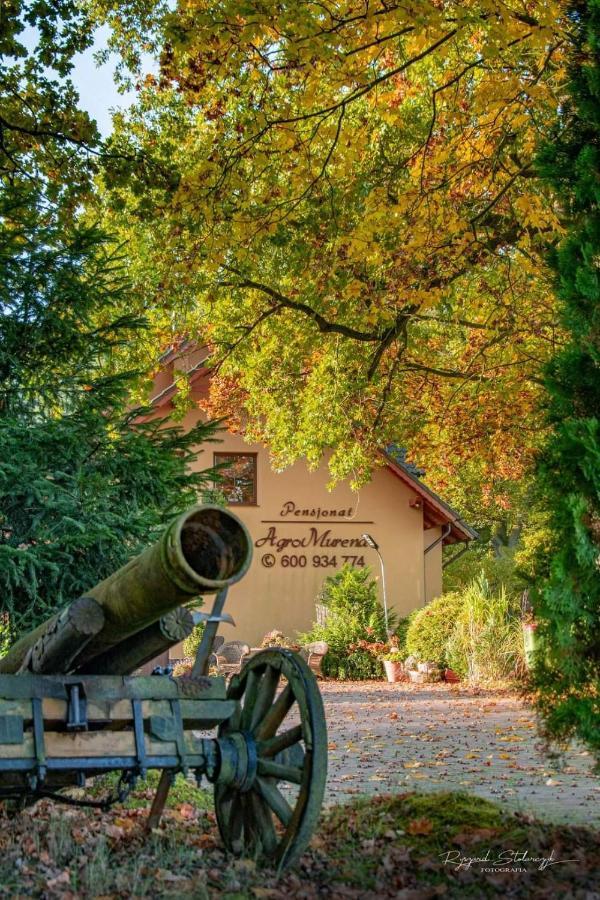 Agromurena Gryfów Śląski Dış mekan fotoğraf