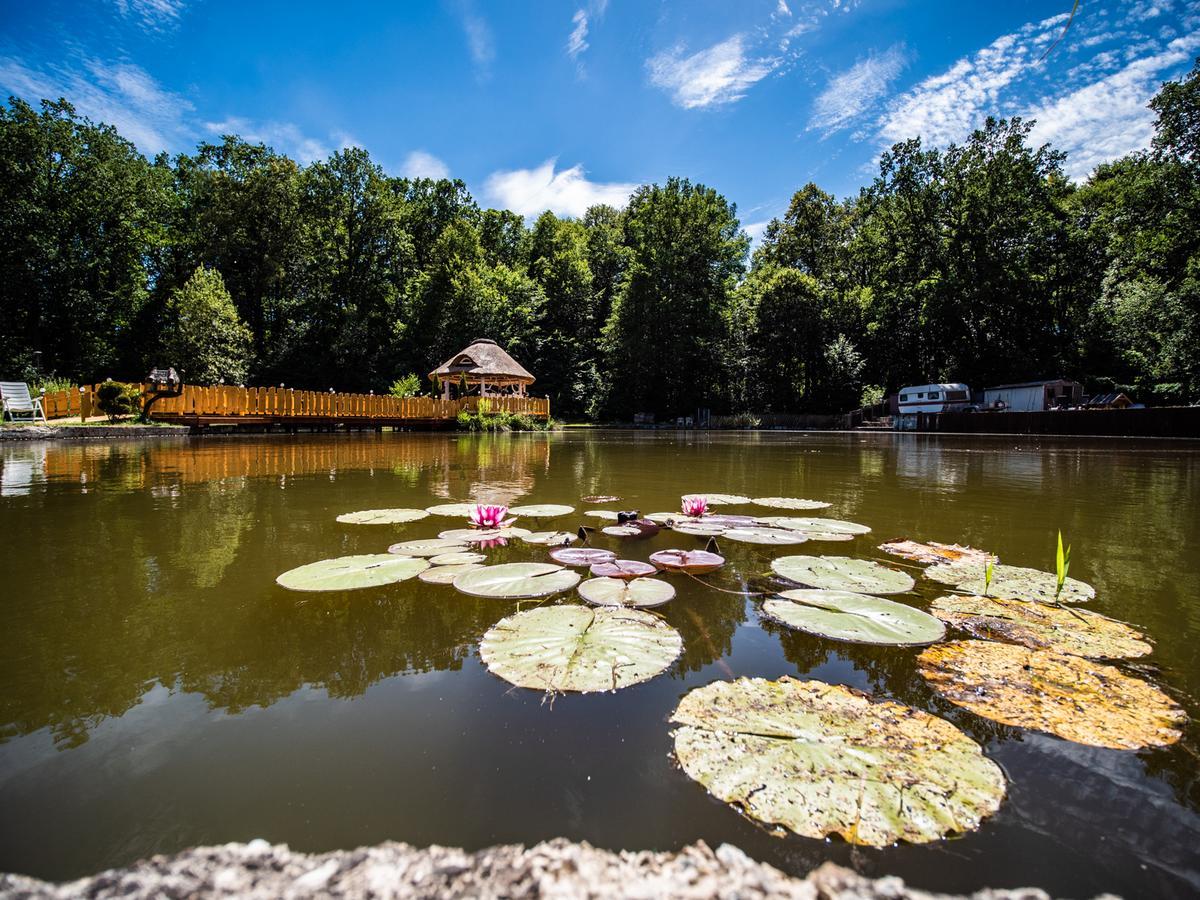 Agromurena Gryfów Śląski Dış mekan fotoğraf